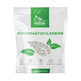 Raw Powders Phosphatidylserine (Fosfatidilserina) 100 mg - 240 Capsule